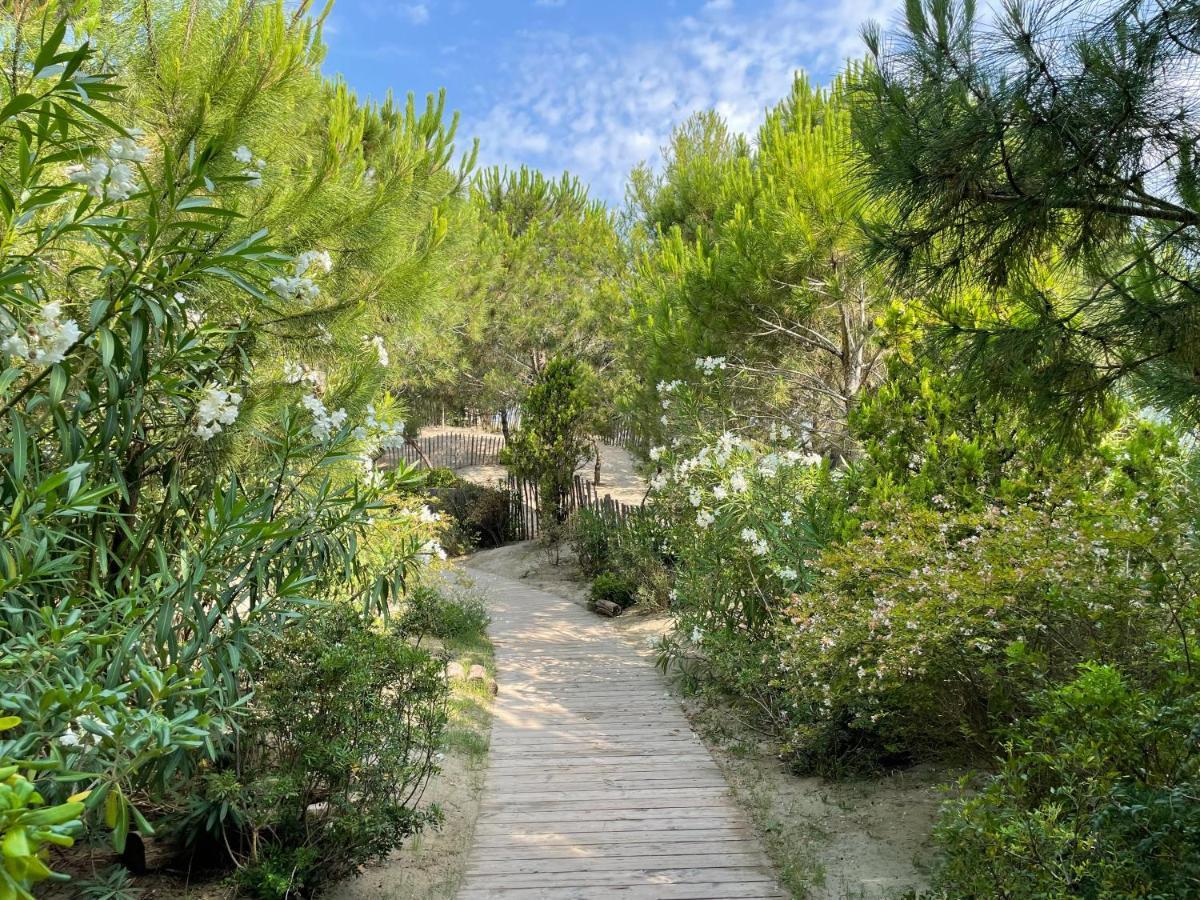 Hotel Plage Palace & Spa Palavas-les-Flots Exteriör bild The path leading to the cave